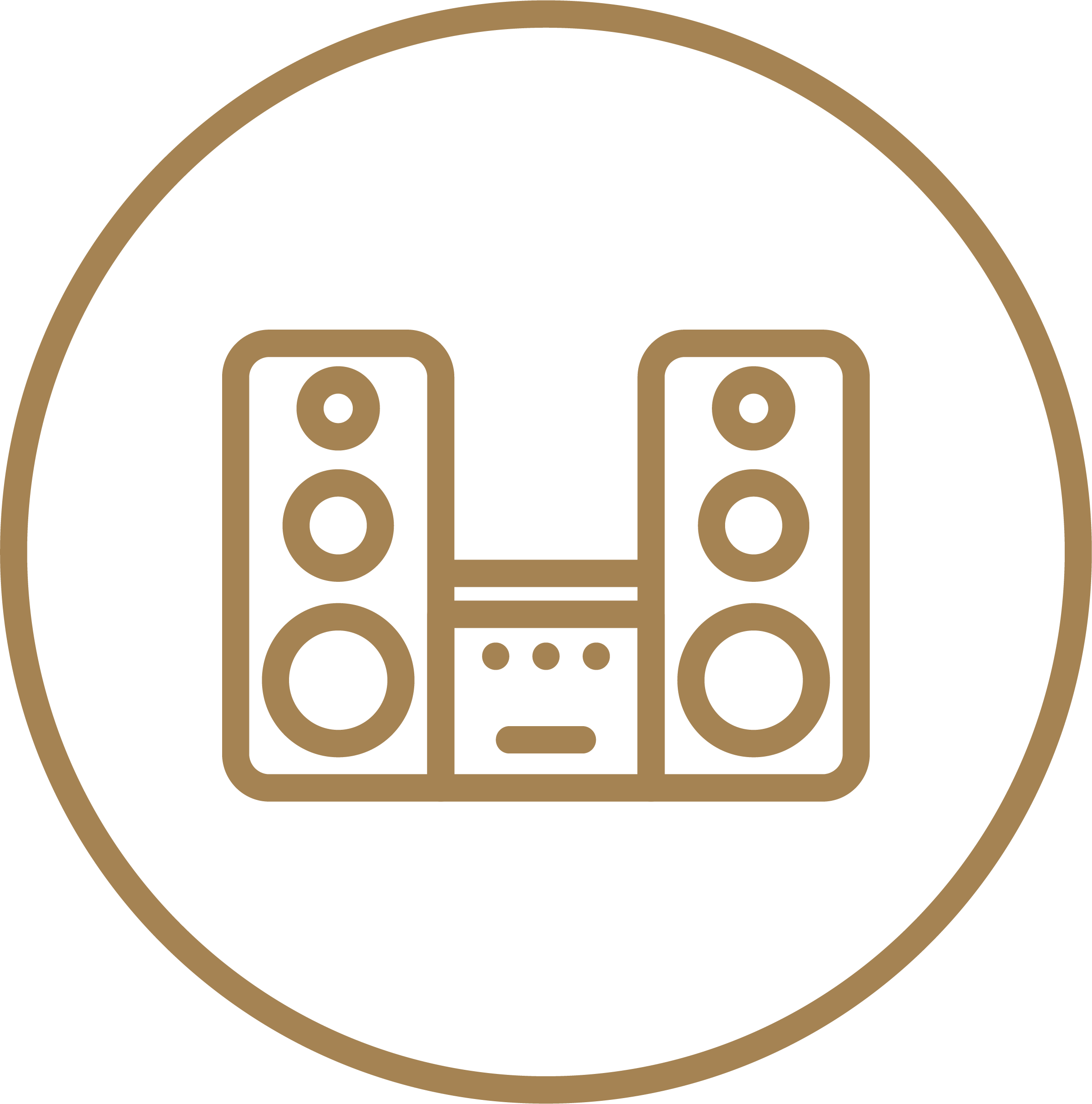 Sound System Installation icon